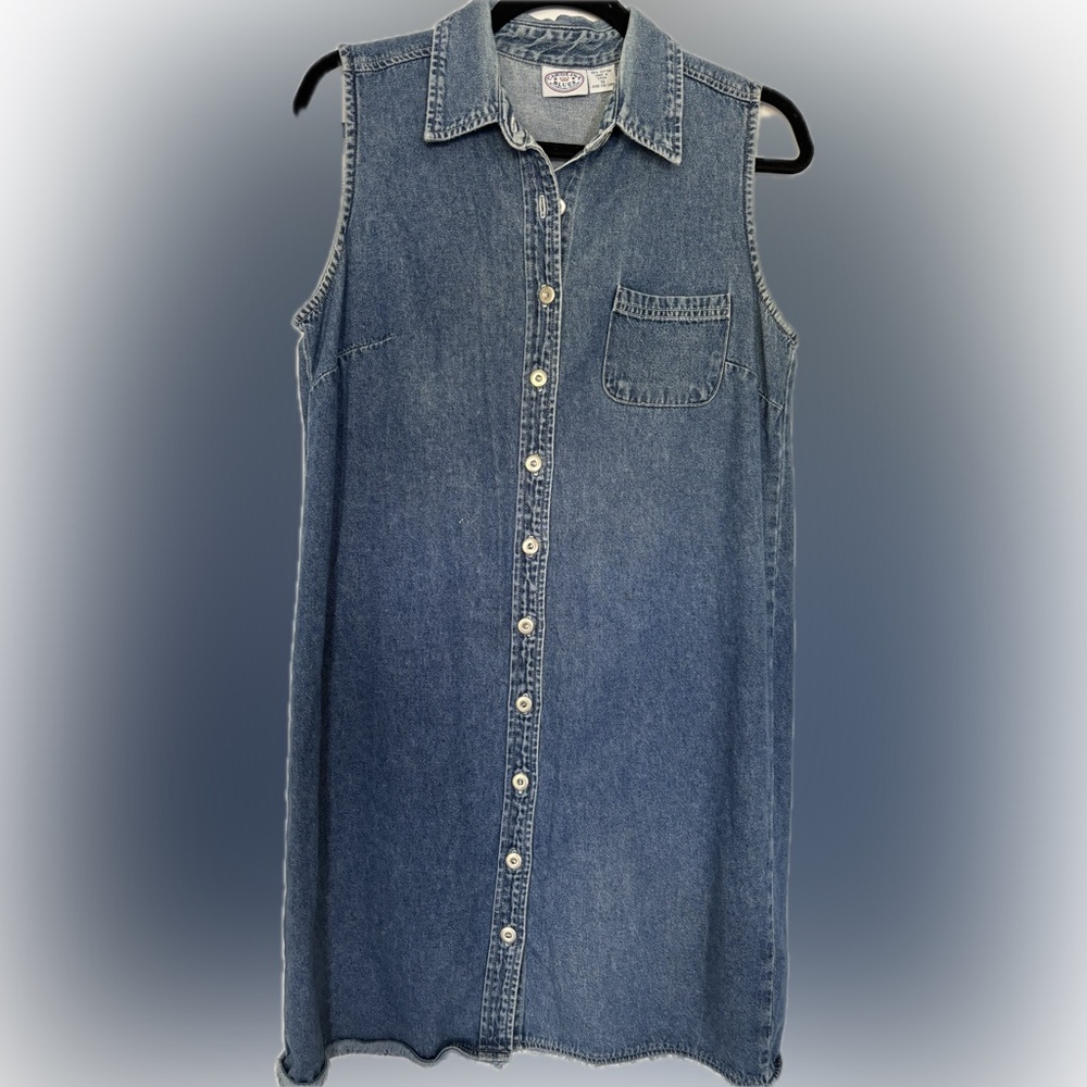 Vintage Carolina Blues Women’s Denim Button Down Dress